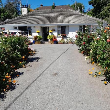 Saint Martin'S Bed And Breakfast Bandon Kültér fotó
