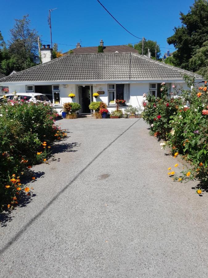 Saint Martin'S Bed And Breakfast Bandon Kültér fotó