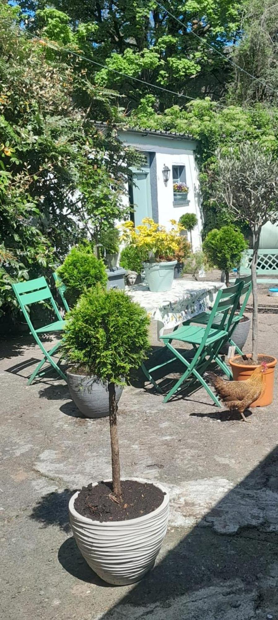 Saint Martin'S Bed And Breakfast Bandon Kültér fotó