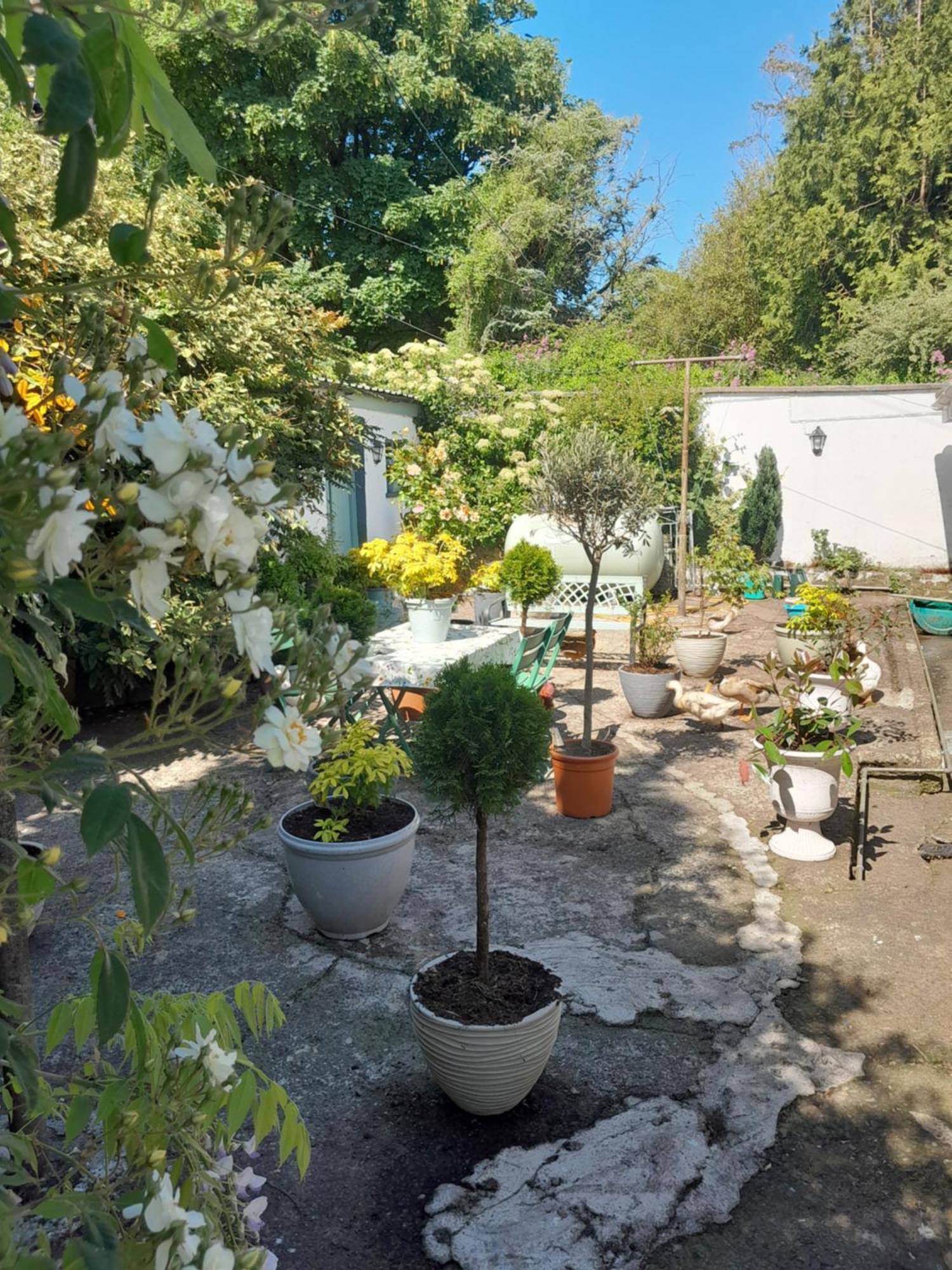 Saint Martin'S Bed And Breakfast Bandon Kültér fotó